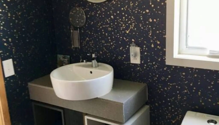 Galaxy Tiny House rental Bathroom Galaxy Tiny House rental Bathroom