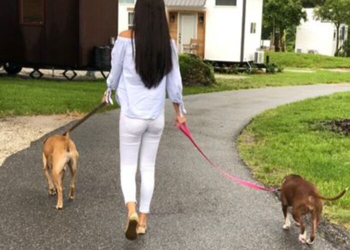 Pet Friendly at Tiny Town Orlando Pet Friendly at Tiny Town Orlando