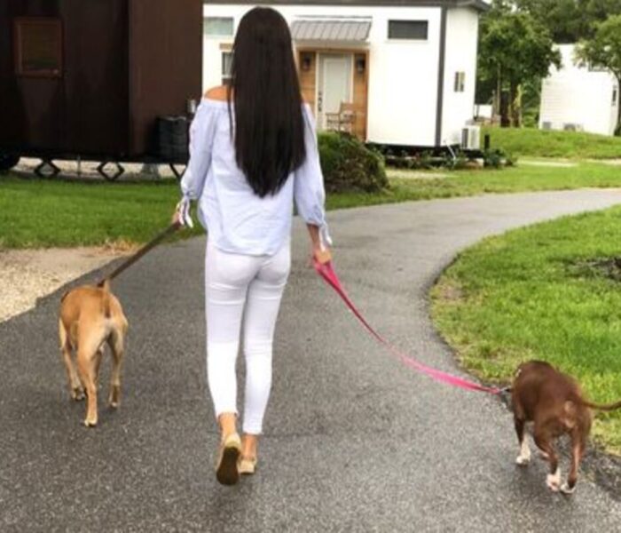 Pet Friendly at Tiny Town Orlando Pet Friendly at Tiny Town Orlando