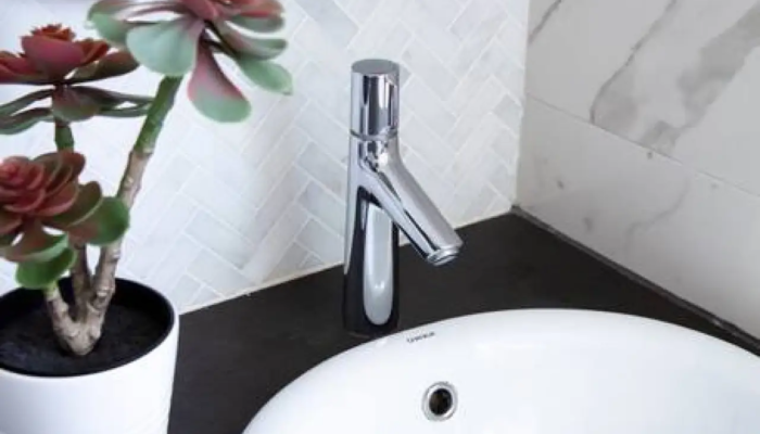 The Venice Tiny House Rental Bathroom The Venice Tiny House Rental Bathroom