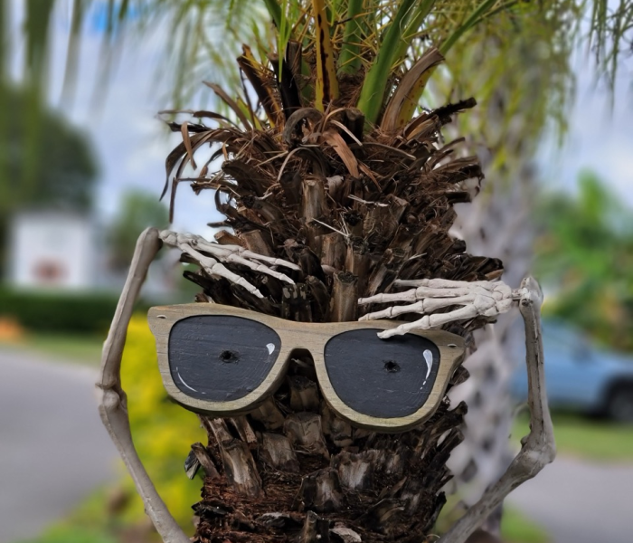 Tiny Town Orlando Halloween Decor Tiny Town Orlando Halloween Decor