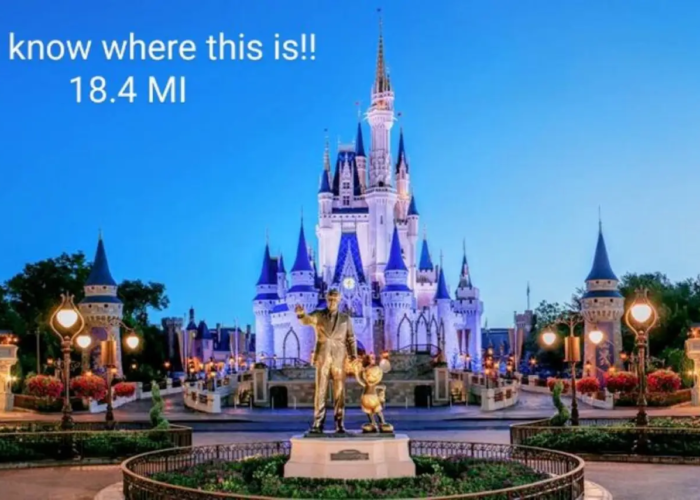 Disney Orlando Disney Orlando