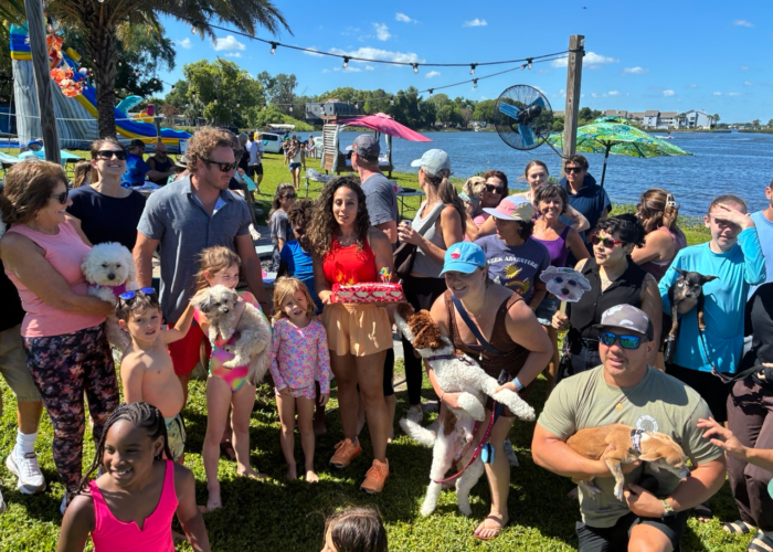 Pet-friendly tiny house community birthday party Orlando Pet-friendly tiny house community birthday party Orlando