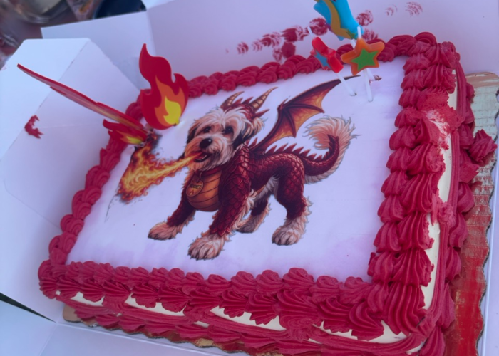 Pet-friendly tiny house community birthday party Cake Orlando Pet-friendly tiny house community birthday party Cake Orlando